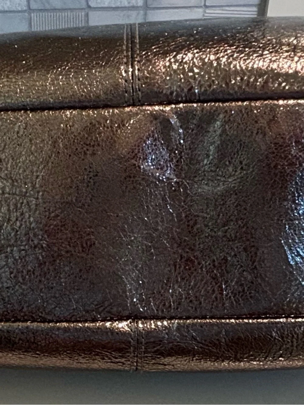 Coach Julia Metallic Leather Hobo Bag